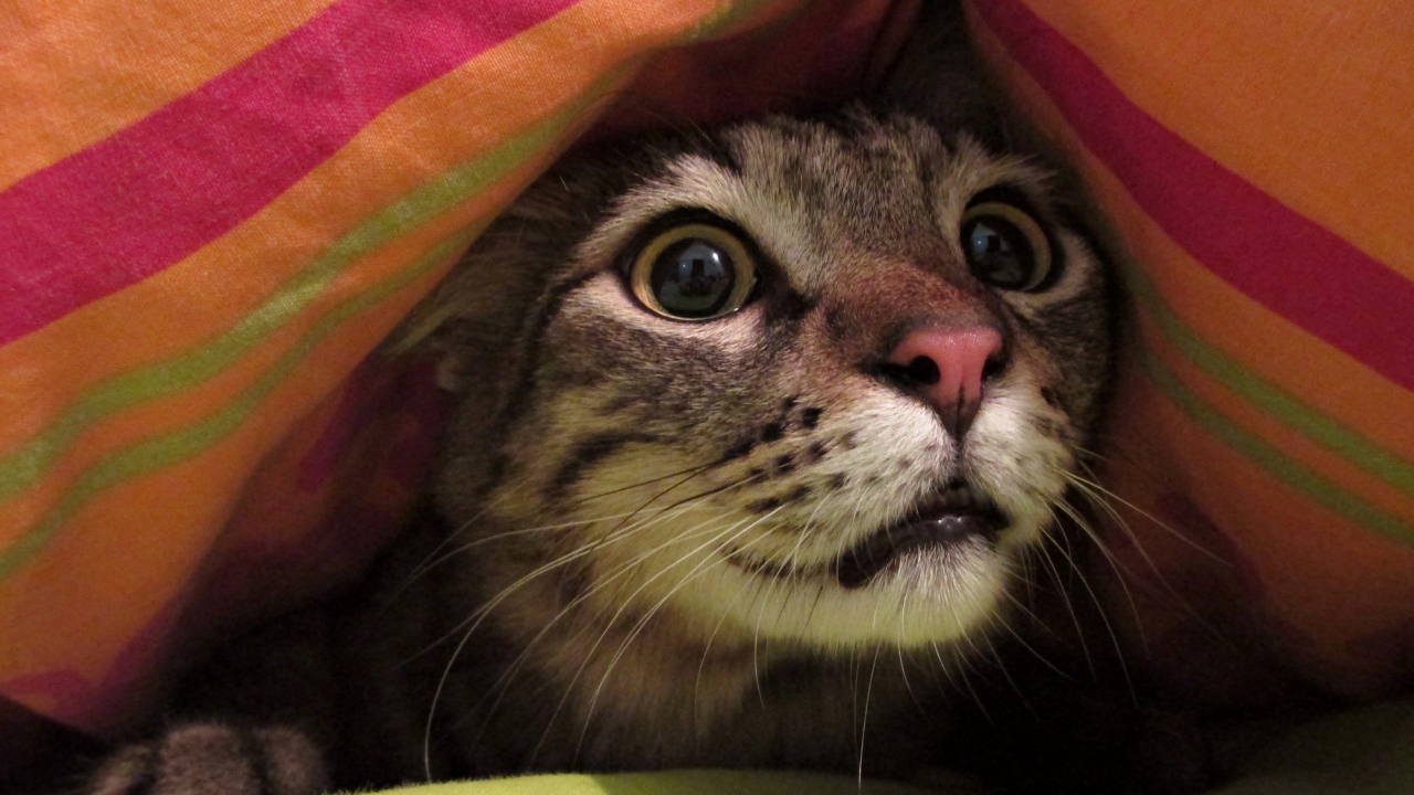 Stanislavski, theatre and story telling